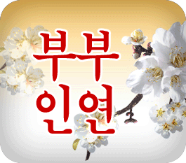 �����ߺ��°� ��õ